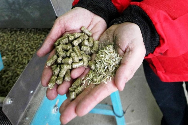 Linie do produkcji agropeletu — zdjęcie 1