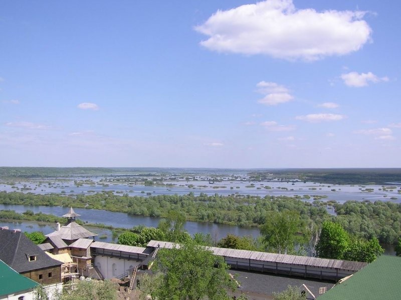Ukraina.Staw rybny + torfowiska.Wydzierzawie.Tanio — zdjęcie 1