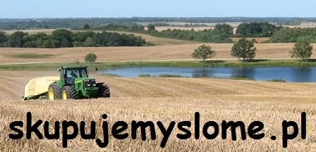 SŁOMA, SKUP SŁOMY, www.skupujemyslome.pl
