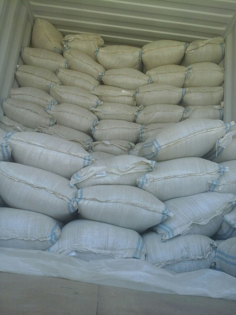 Majeranek 4,00 zł/kg  — zdjęcie 3