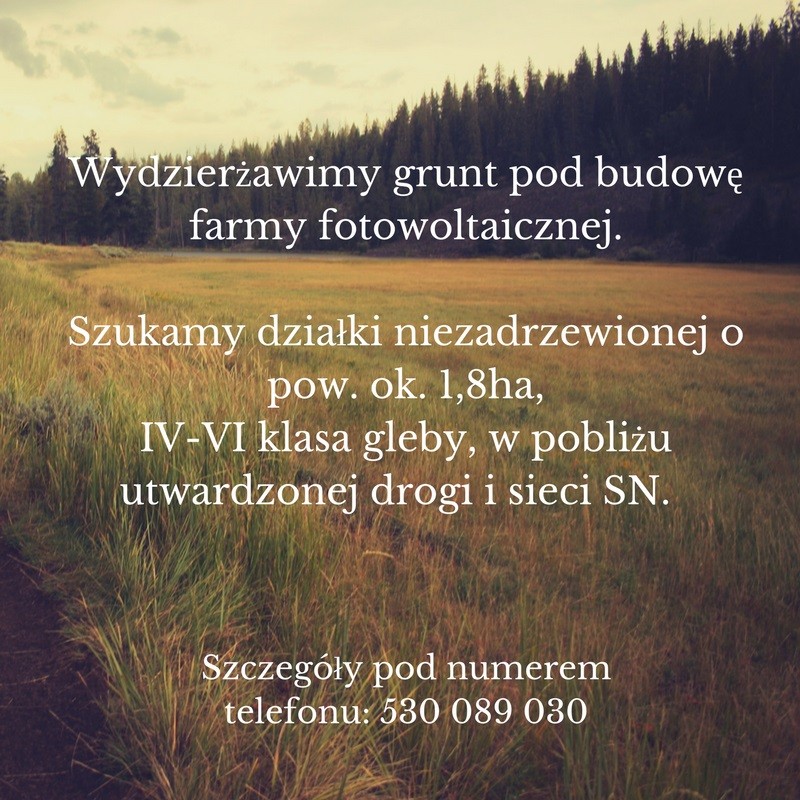 Wydzierżawię grunty