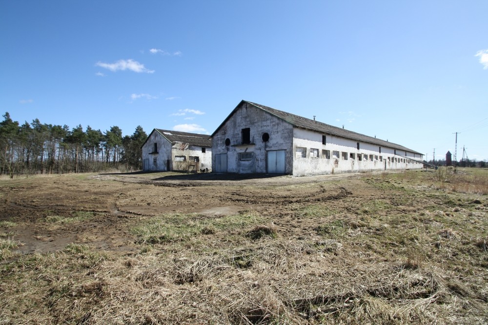 Gospodarstwo Hodowlane Stare Borne, pow. koszaliński — zdjęcie 3
