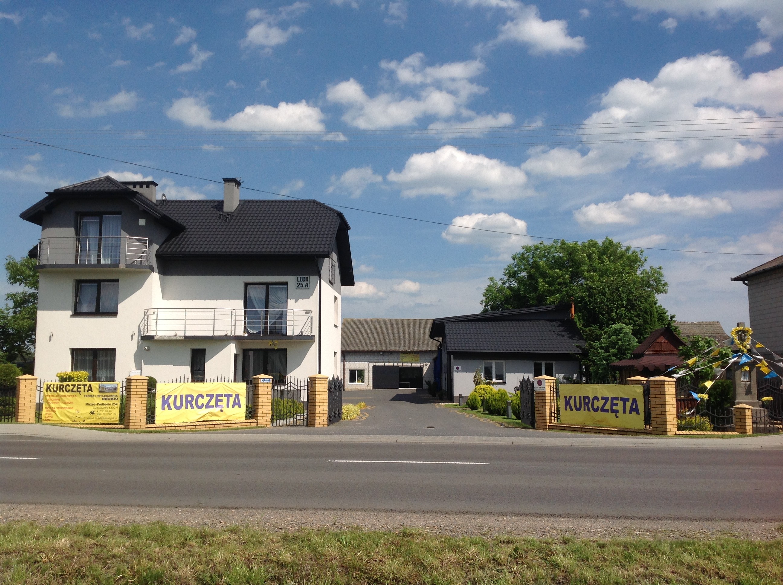  Kurczęta odchowane Świętokrzyskie Starachowice Mirzec  — zdjęcie 6