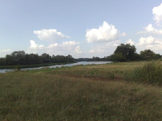 działka nad rzeką Narwią — zdjęcie 5