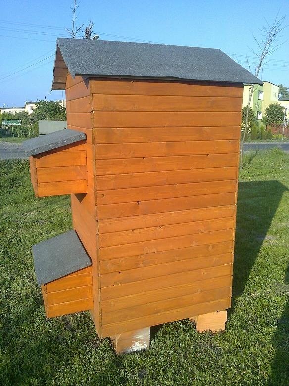 MINI KURNIKI NA 20 KUR WYSYŁKA — zdjęcie 3