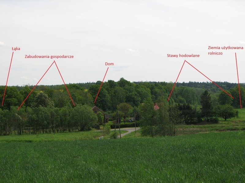 Sprzedam gospodarstwo rolne i 2 stawy hodowlane — zdjęcie 5