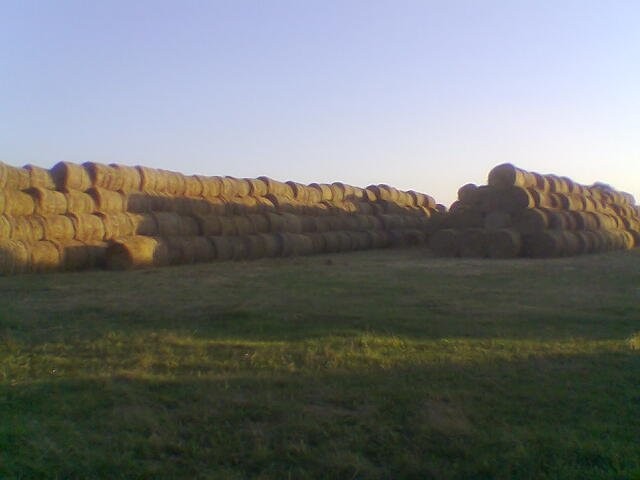 sloma