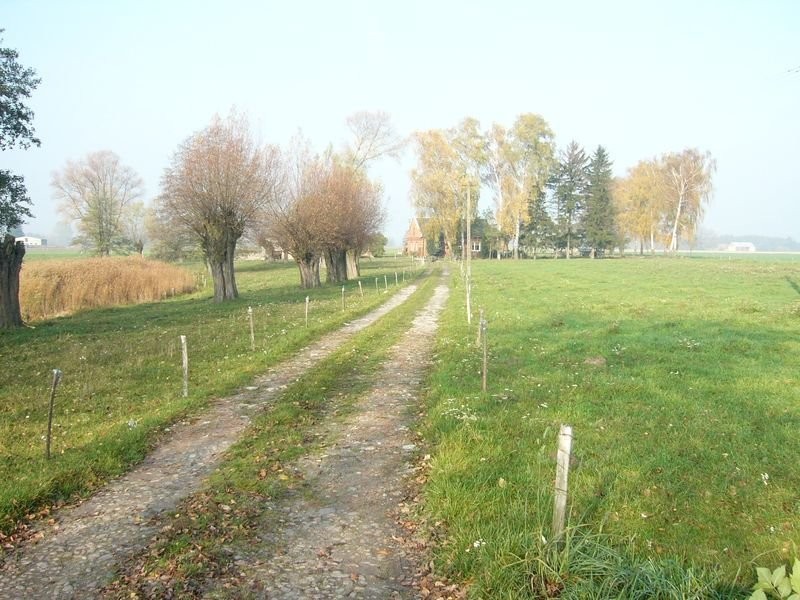 Sprzedam siedlisko, budynki,działkę, staw — zdjęcie 2