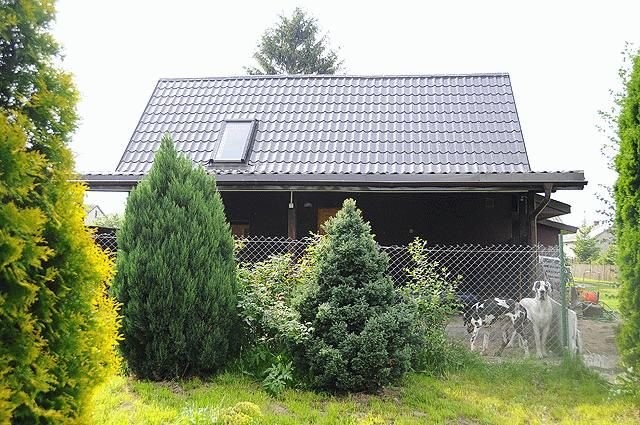 Dwa domy z działką 1,5ha - blisko Warszawy — zdjęcie 3