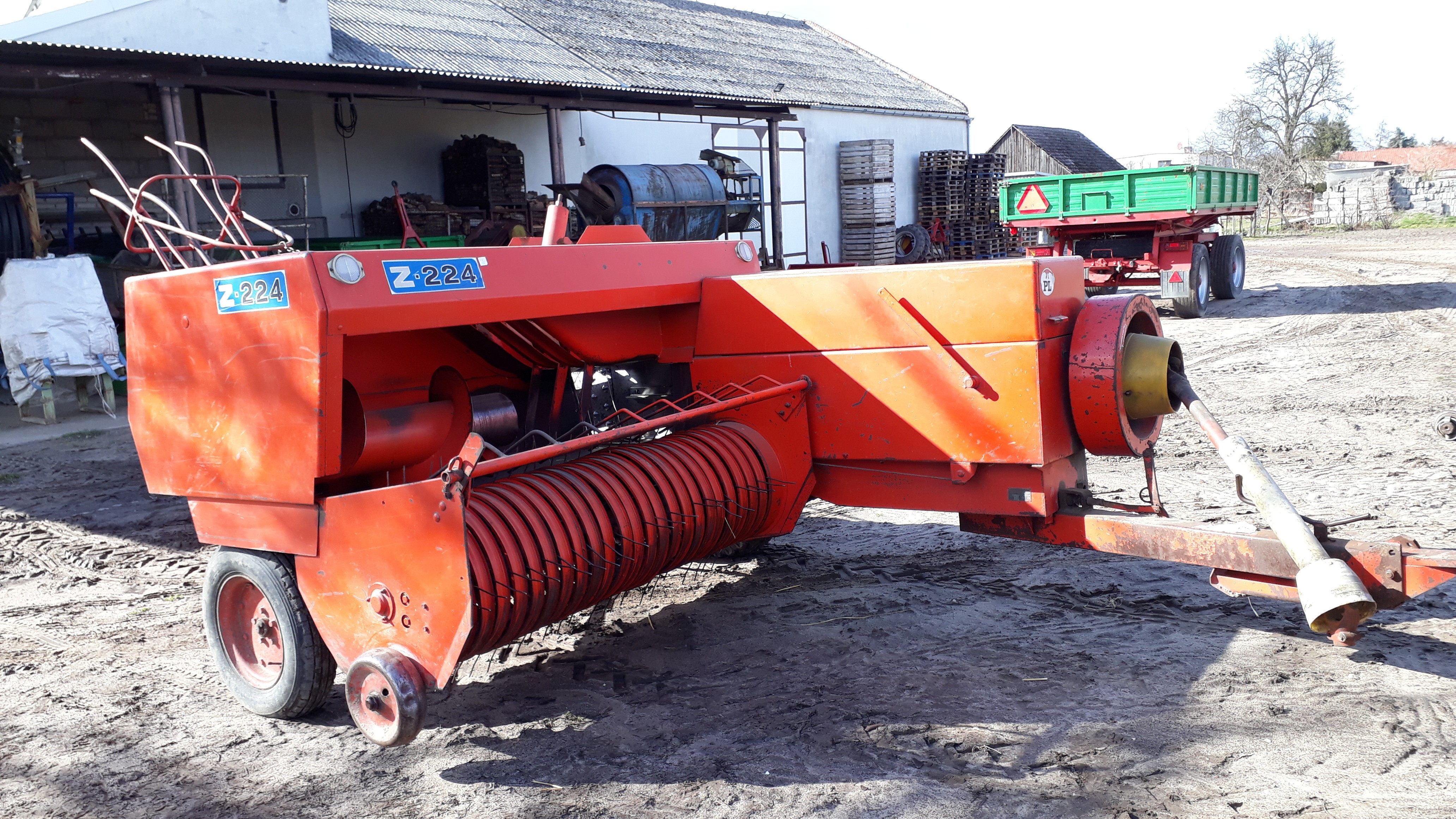 Sprzedam prase Z-224 — zdjęcie 1