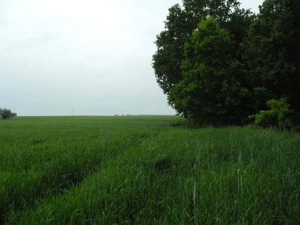 sprzedam działkę rolna w Piaskach koło Lublina 66 — zdjęcie 3