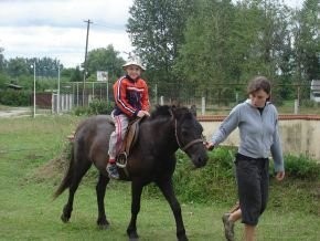 SPRZEDAM MUŁKA      FIONA — zdjęcie 1