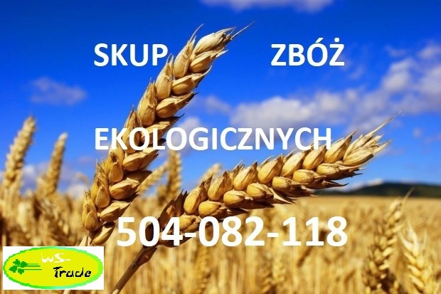 Kupię zboża ekologiczne