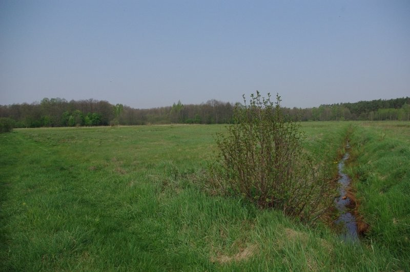 Piekna dzialka na mala agroturystyke - mazowieckie — zdjęcie 2
