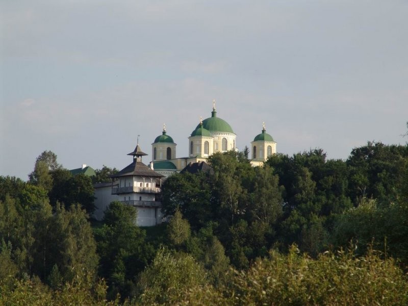 Ukraina.Drewno z Lasow Panstwowych.Cena 15 zl/m3 — zdjęcie 6
