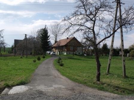Sprzedam gosp rolne 1.7 ha!! — zdjęcie 5