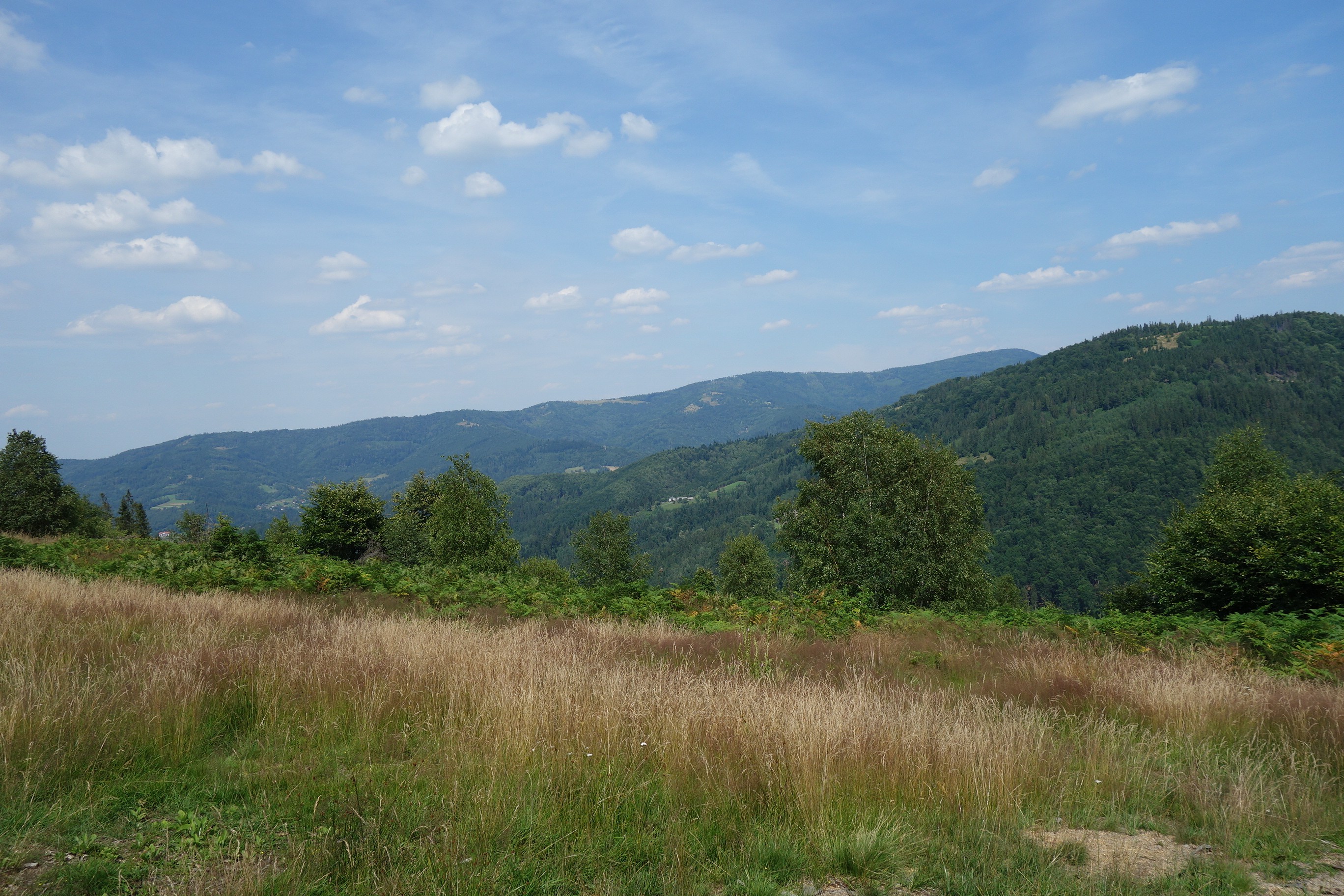 Beskidy Brenna 2,53 ha z prawem zabudowy blisko wyciągu orczykowego — zdjęcie 5
