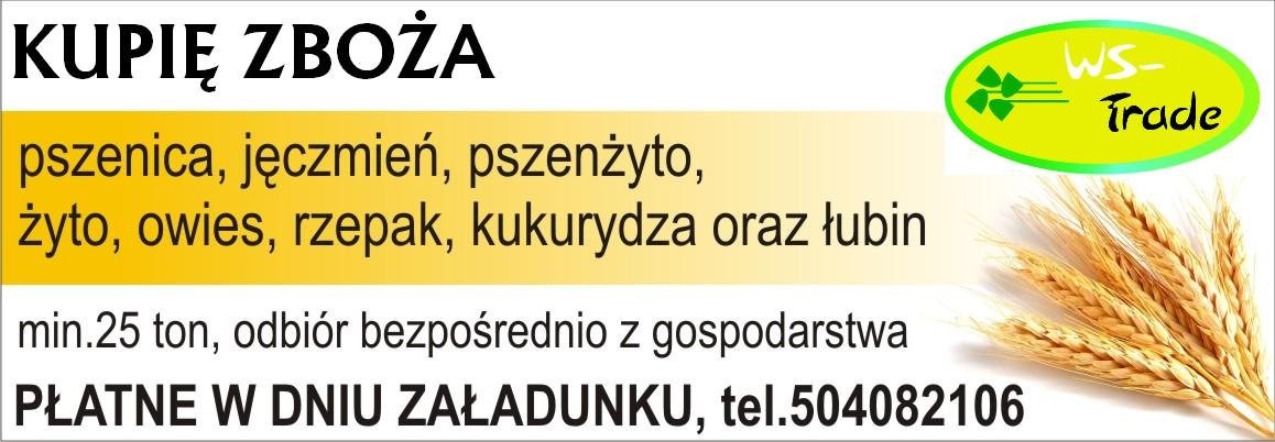 Kupię rzepak