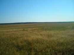 UKRAINA - GOSPODARSTWA ROLNE - UKRAINA