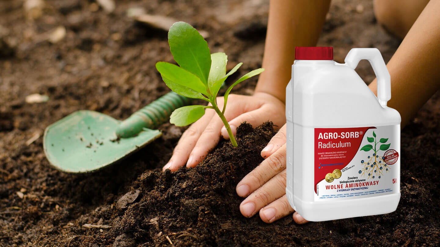 Polski Aminokwasy, Biostymulator Agro-Sorb  RADICULUM 5L — zdjęcie 2