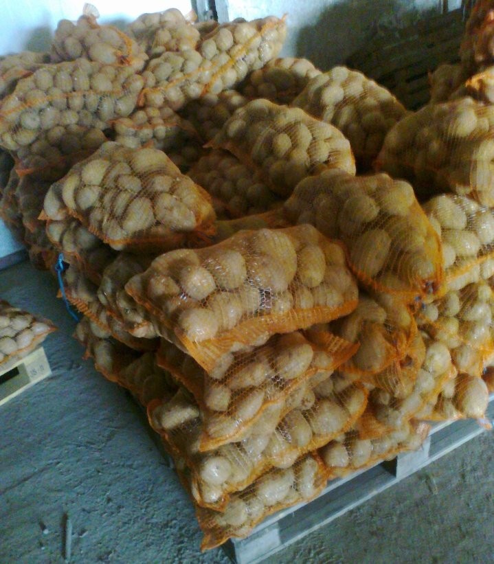 Kapusta biała MARKET/капуста рынок — zdjęcie 3
