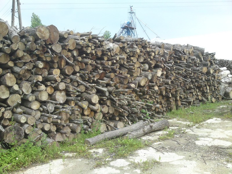 Sprzedam drewno opałowe liściaste w metrach, Elbląg, Olsztyn Braniewo — zdjęcie 1