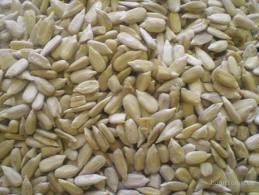 Ukraina.Slonecznik 1,7 zl/kg konfekcyjny od producenta rozm.36, 38~2zl
