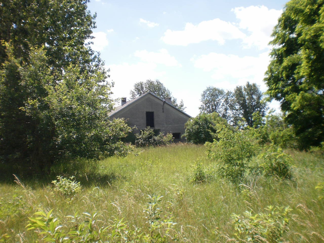 ŻARNOWIEC ŚLĄSKI sprzedam 11 ha — zdjęcie 3