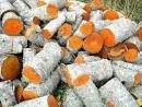 Ukraina.Drewno 15 zl/m3.Produkcja pelletu,brykietu — zdjęcie 1