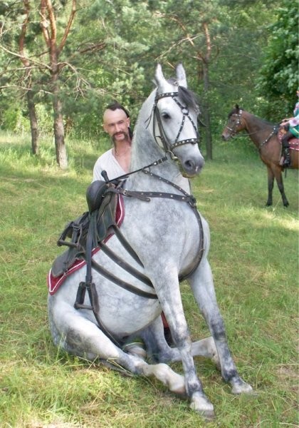 Ukraina.StajniaKoni w malowniczej miescowosciTanio — zdjęcie 2