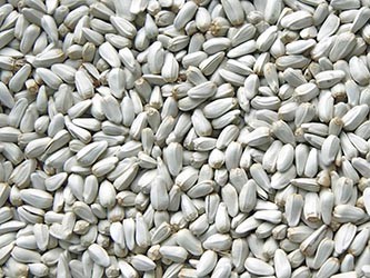 Sprzedam Krokosz, sorgo, rzepik, proso ostropest, gorczyce — zdjęcie 1