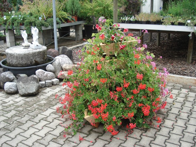 BiVITo Innowacyjna Bio Garden — zdjęcie 2