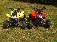 Quad ATV  L-110 — zdjęcie 2