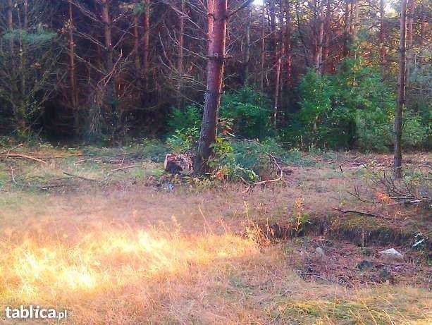 Działka Rolna w Widzówku Gm. Kruszyna 2.2100 ha — zdjęcie 3