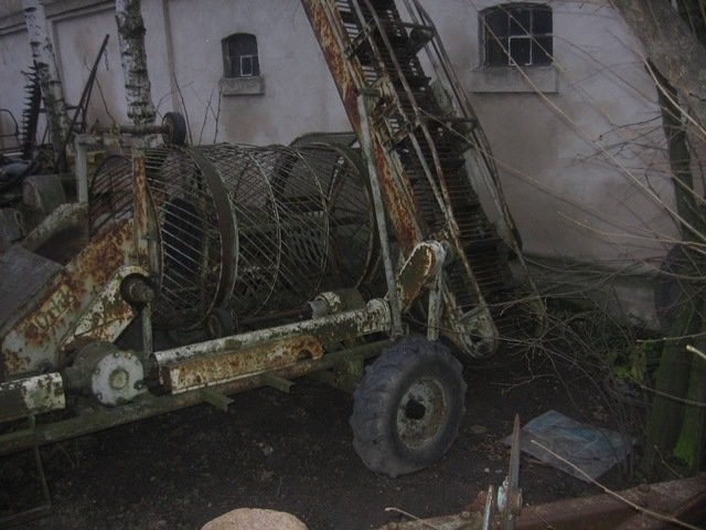 ORLIK — zdjęcie 3