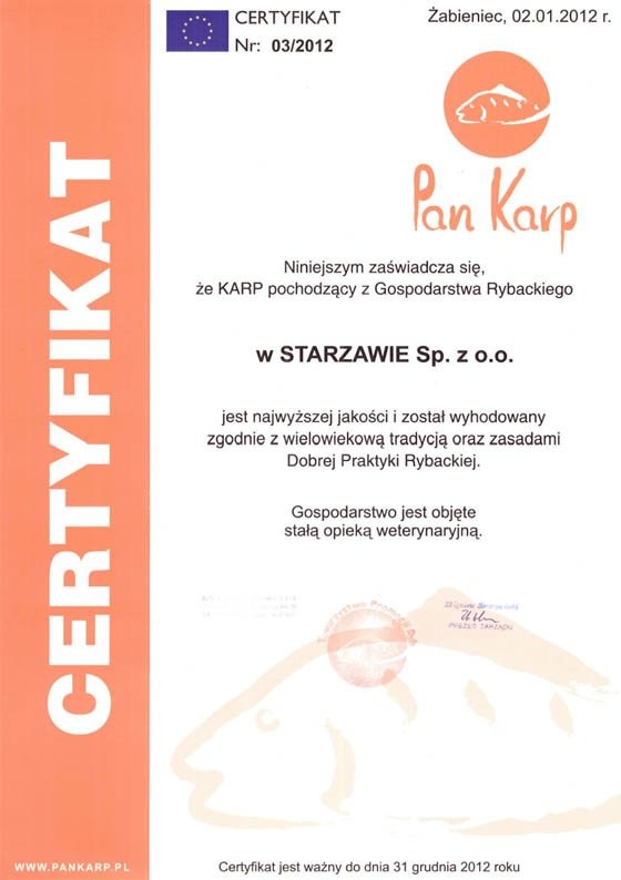 Karp handlowy — zdjęcie 2