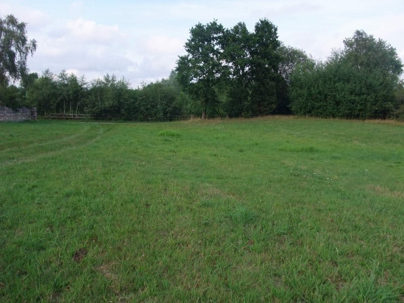Sprzedam działkę siedliskową w ładnej okolicy Pojezierza Drawskiego — zdjęcie 1