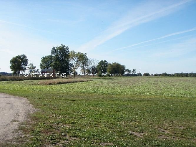Sprzedam działkę komercyjną  w okolicach Sierpca — zdjęcie 1