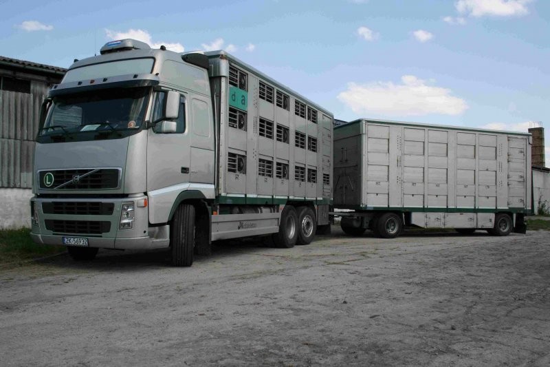 USŁUGI TRANSPORTOWE — zdjęcie 3