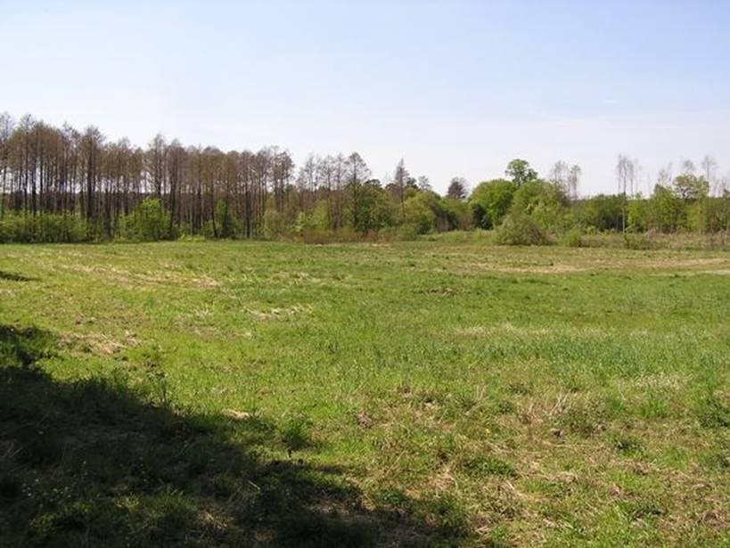 Oddam w dzierżawę  grunty rolne, Tarnówka, powiat Złotów, 29 ha — zdjęcie 2