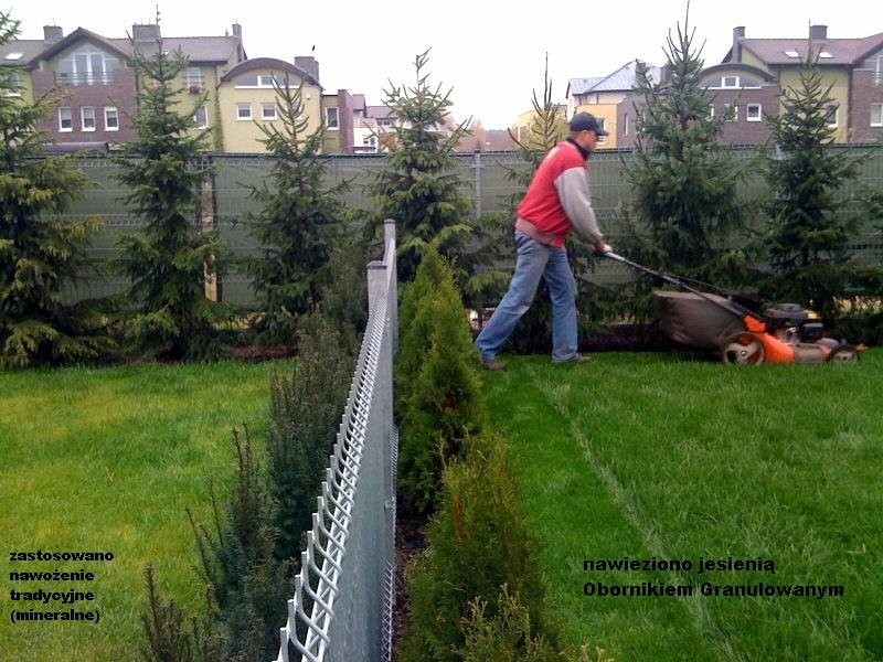Obornik Granulowany  na trawniki — zdjęcie 1