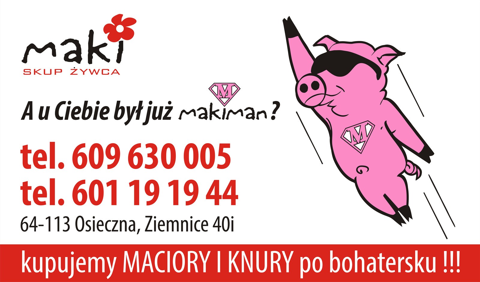Skup macior i knurów MAKI
