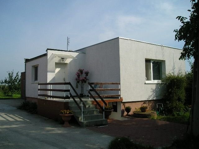 sad 4,5 HA + przetworstwo Poznan — zdjęcie 2