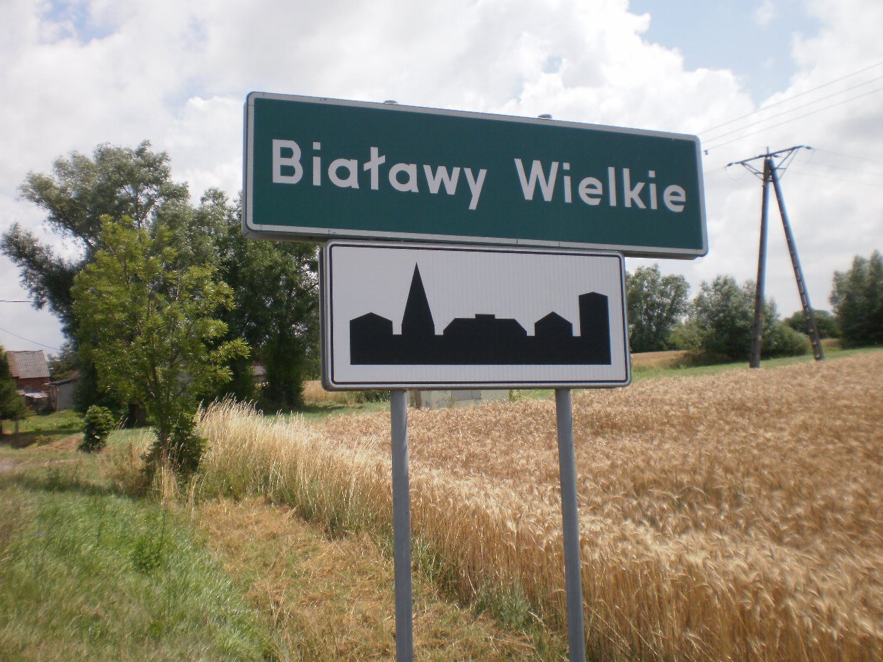 BIAŁĄWY WIELKIE k/Żmigrodu 39 ha sprzedam — zdjęcie 1