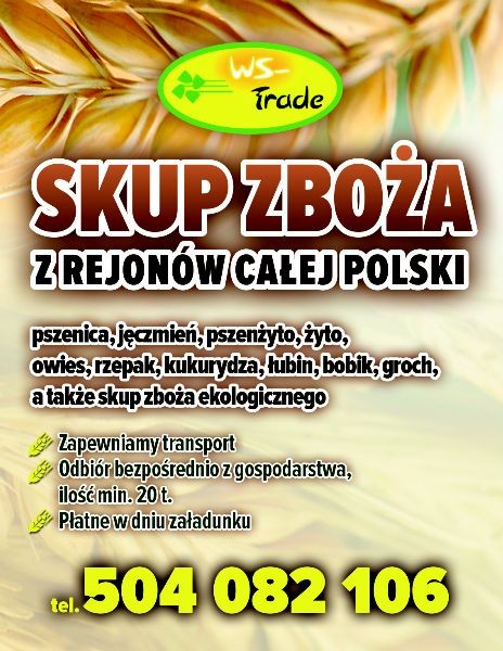 kupię żyto - skup żyta
