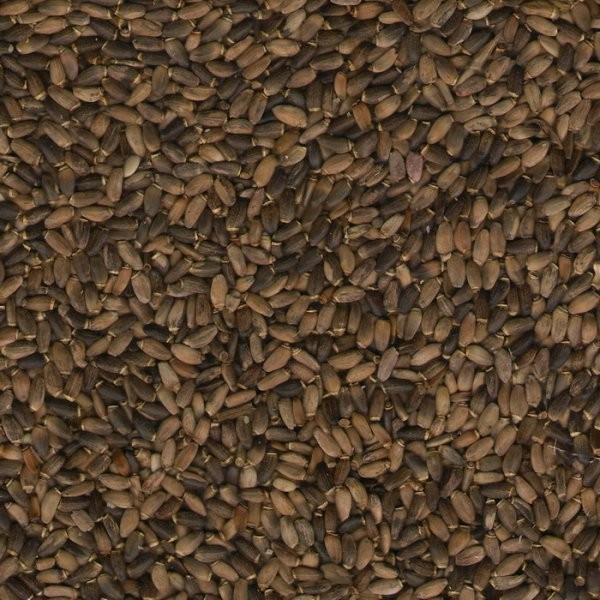 Ostropest (Silybum Marianum)
