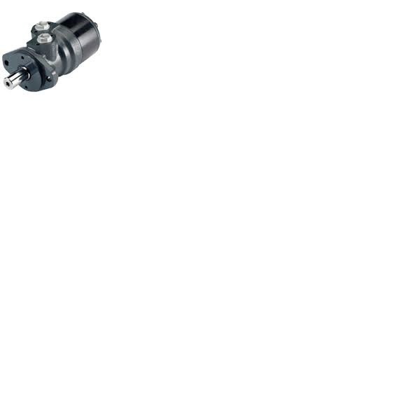 SAUER DANFOSS SILNIKI OMT 250 151-3002  HYDRAULIKA SIŁOWA — zdjęcie 2