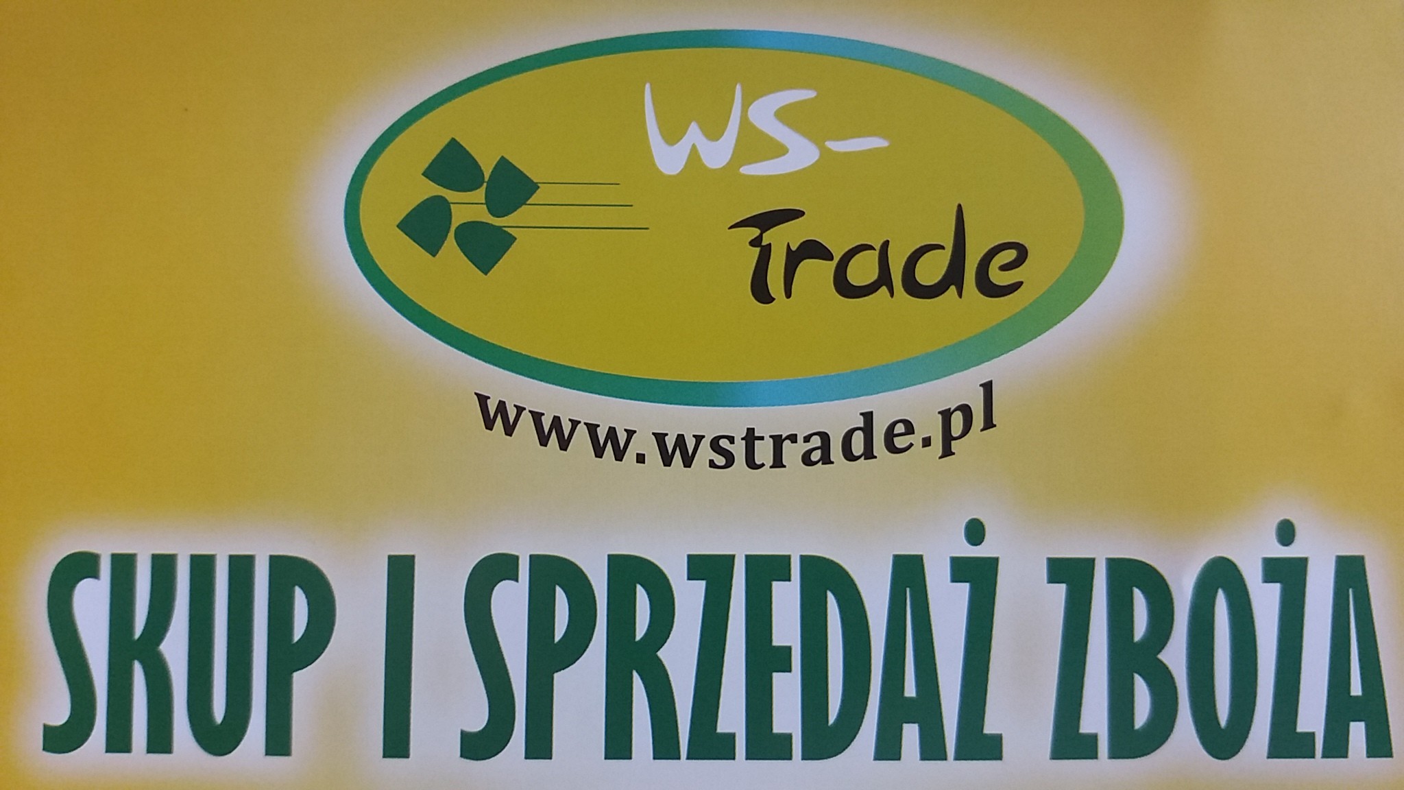 kupię kukurydzę