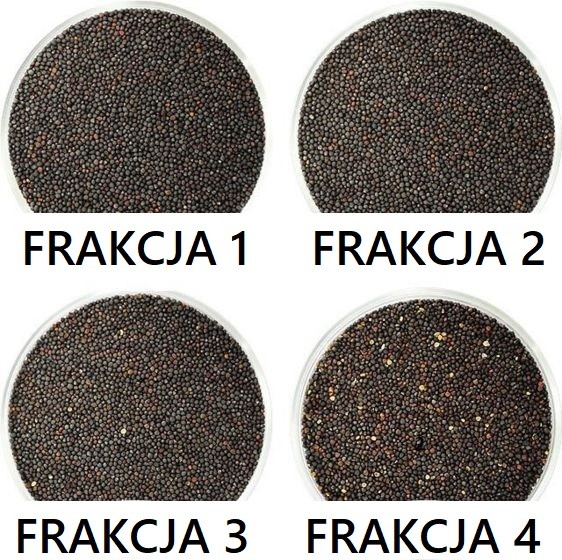 Separator aerodynamiczny SAD 10 bez cyklonu, wialnia, czyszczalnia — zdjęcie 2