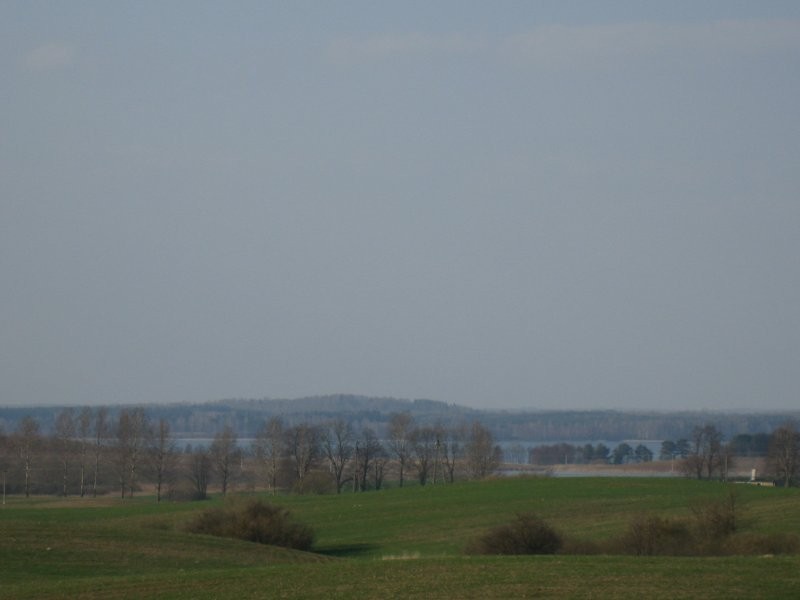sprzedam gospodarstwo rolne — zdjęcie 1
